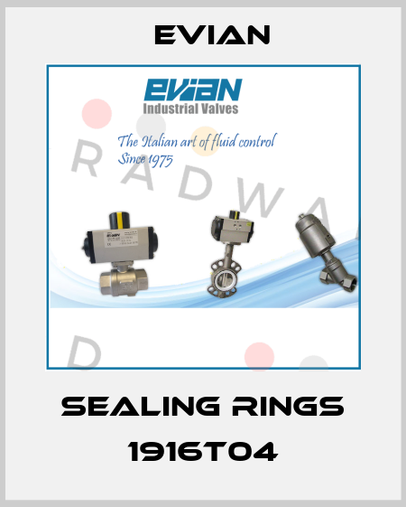 sealing rings 1916T04 Evian
