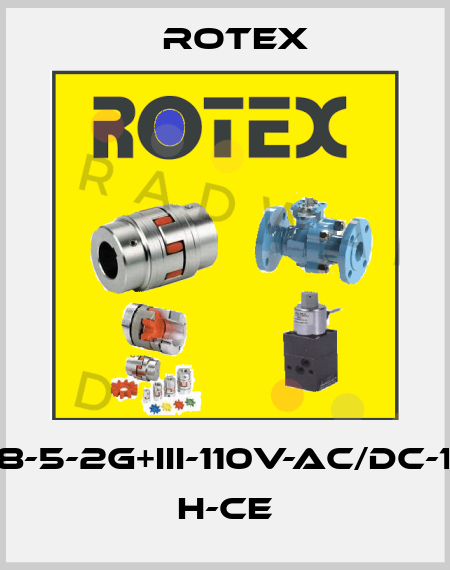 30308-5-2G+III-110V-AC/DC-16-FR- H-CE Rotex