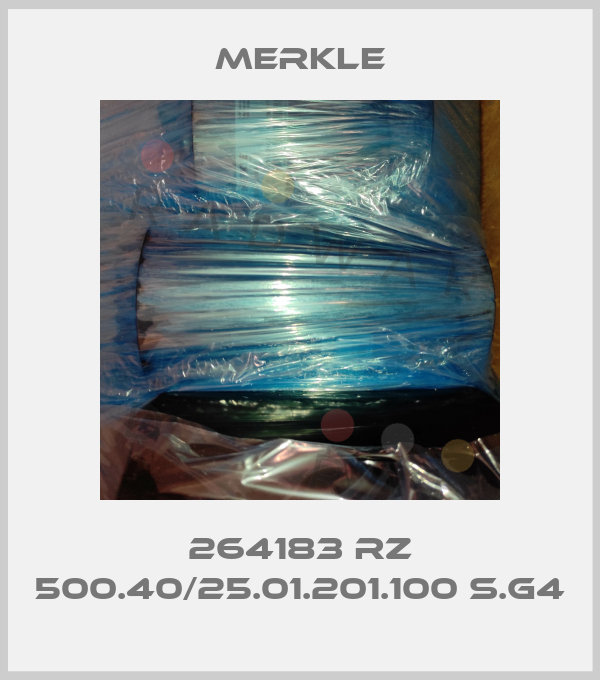264183 RZ 500.40/25.01.201.100 S.G4 Merkle