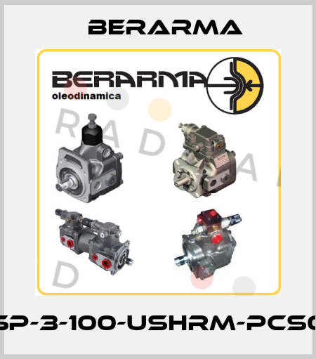 02-PSP-3-100-USHRM-PCS003-Q Berarma