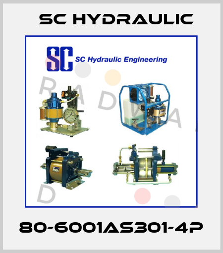 80-6001AS301-4P SC Hydraulic