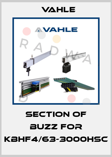 section of buzz for KBHF4/63-3000HSC Vahle