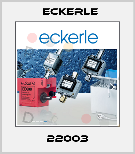 22003 Eckerle