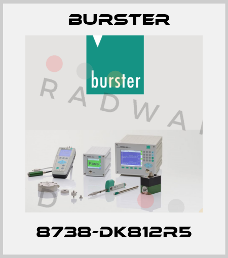 8738-DK812R5 Burster