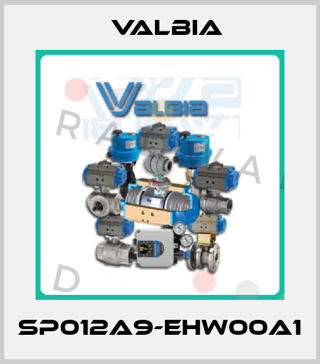 SP012A9-EHW00A1 Valbia