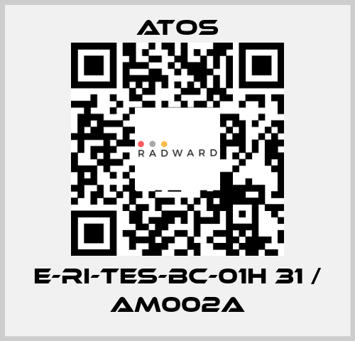 E-RI-TES-BC-01H 31 / AM002A Atos