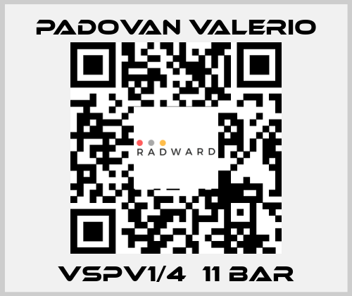 VSPV1/4  11 bar PADOVAN VALERIO