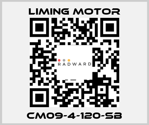 CM09-4-120-SB Liming Motor