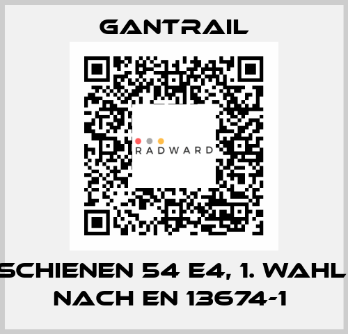 Schienen 54 E4, 1. Wahl, nach EN 13674-1  Gantrail