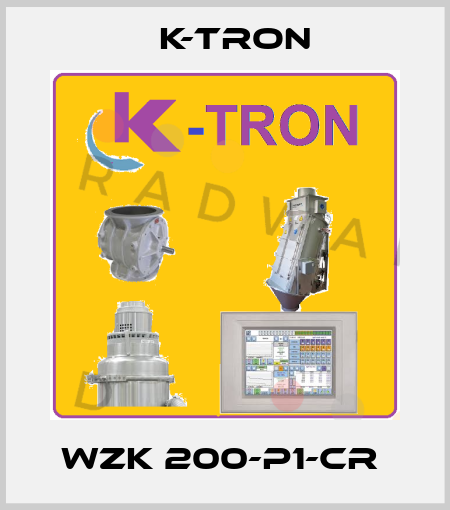 WZK 200-P1-CR  K-tron
