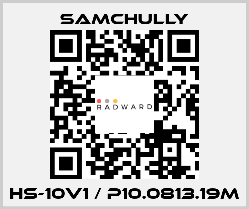HS-10V1 / P10.0813.19M Samchully