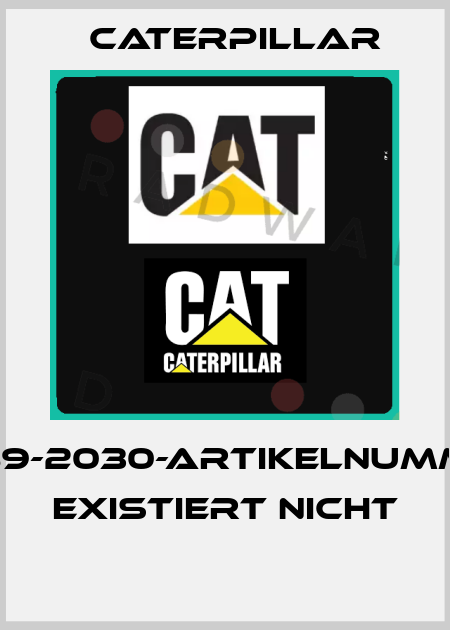 2589-2030-ARTIKELNUMMER EXISTIERT NICHT  Caterpillar