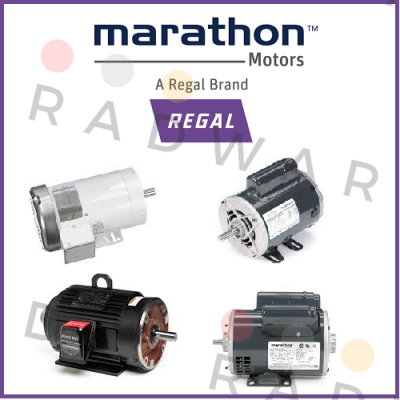 DM3 315M2 B35 Marathon (Regal)
