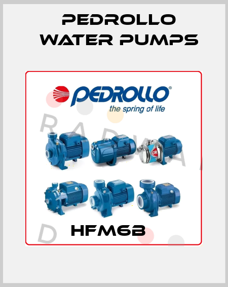 HFm6B   Pedrollo Water Pumps