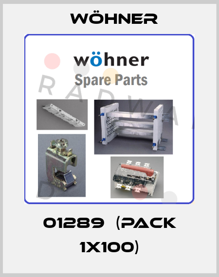 01289　(pack 1x100) Wöhner
