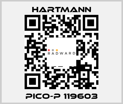 PICO-P 119603 Hartmann