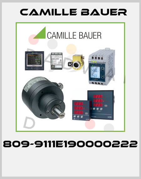 809-9111E190000222  Camille Bauer