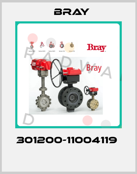 301200-11004119   Bray