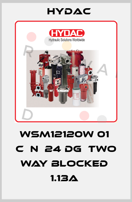 WSM12120W 01  C  N  24 DG  Two way blocked  1.13A  Hydac