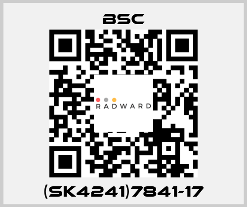 (SK4241)7841-17 BSC