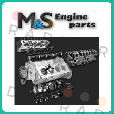 O-ring set for  PAMS1 M & S