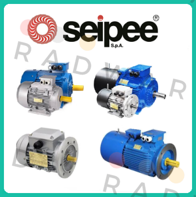IEC60034-1 SEIPEE