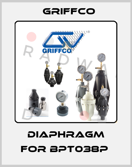 Diaphragm for BPT038P  Griffco