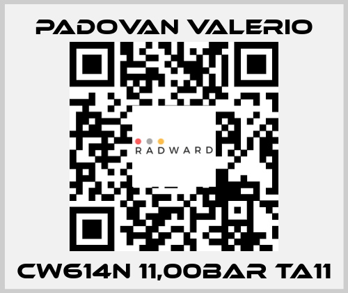 CW614N 11,00BAR TA11 PADOVAN VALERIO
