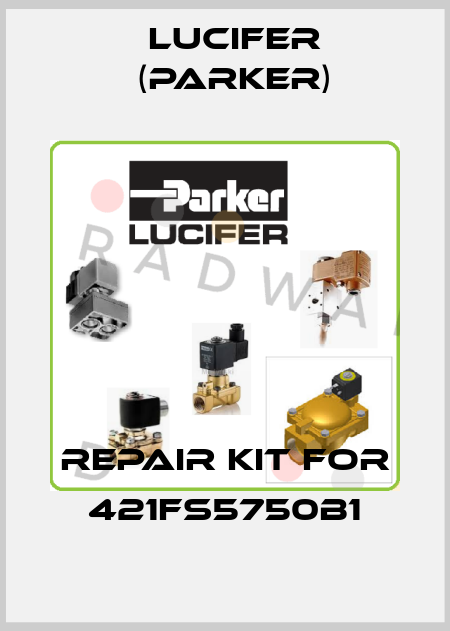 Repair kit for 421FS5750B1 Lucifer (Parker)