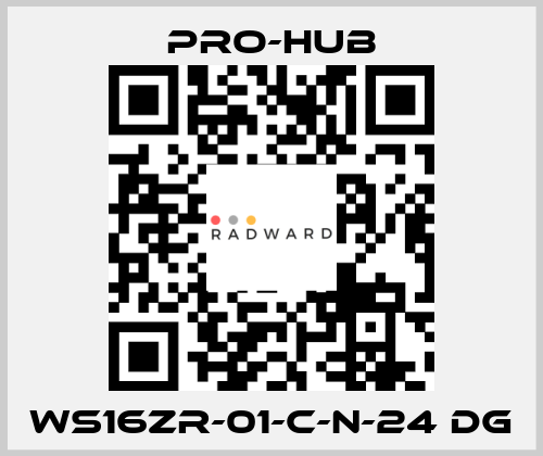 WS16ZR-01-C-N-24 DG Pro-Hub