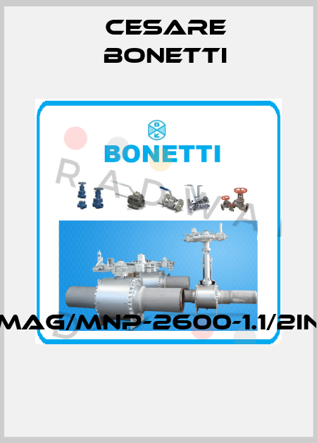 MAG/MNP-2600-1.1/2IN  Cesare Bonetti