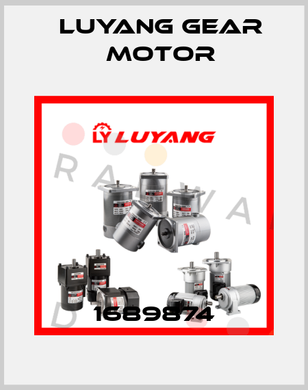 1689874 Luyang Gear Motor
