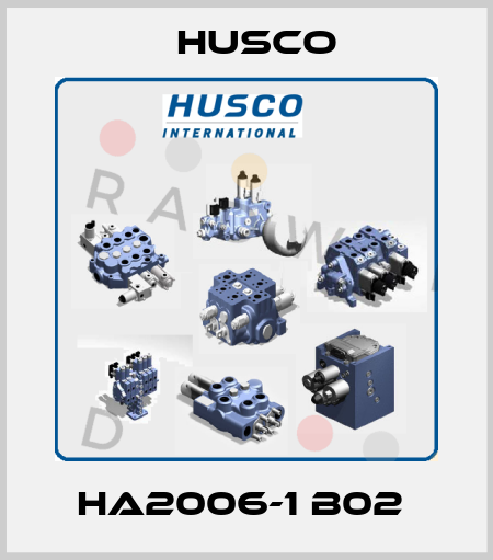 HA2006-1 B02  Husco
