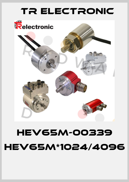 HEV65M-00339 HEV65M*1024/4096  TR Electronic