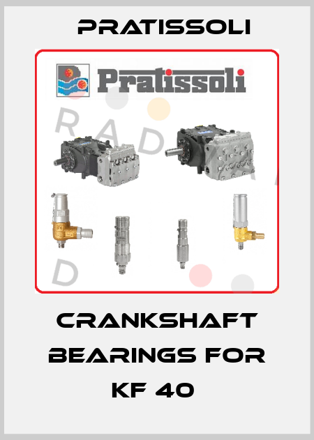 crankshaft bearings for KF 40  Pratissoli
