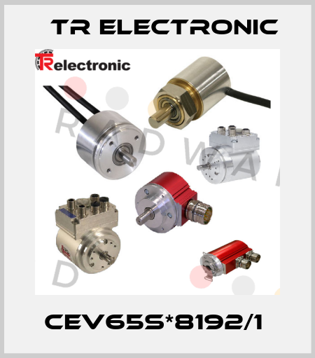 CEV65S*8192/1  TR Electronic