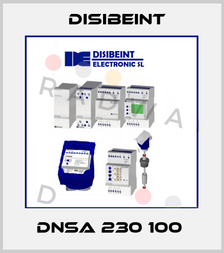 DNSA 230 100  Disibeint