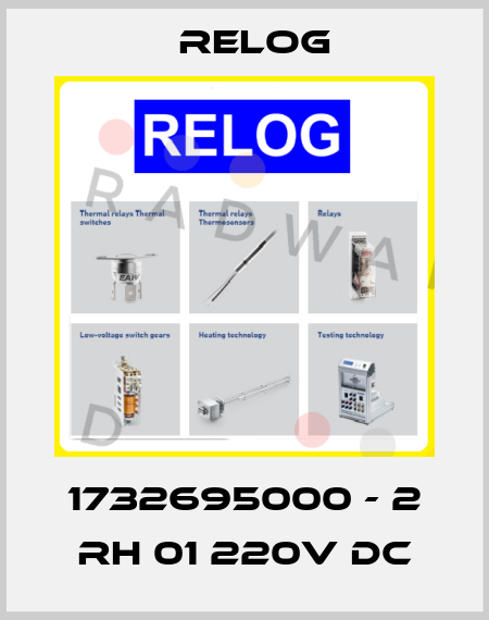 1732695000 - 2 RH 01 220V DC Relog