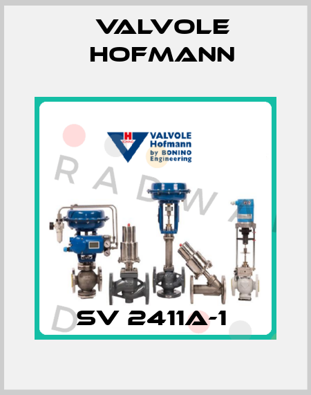 SV 2411A-1  Valvole Hofmann