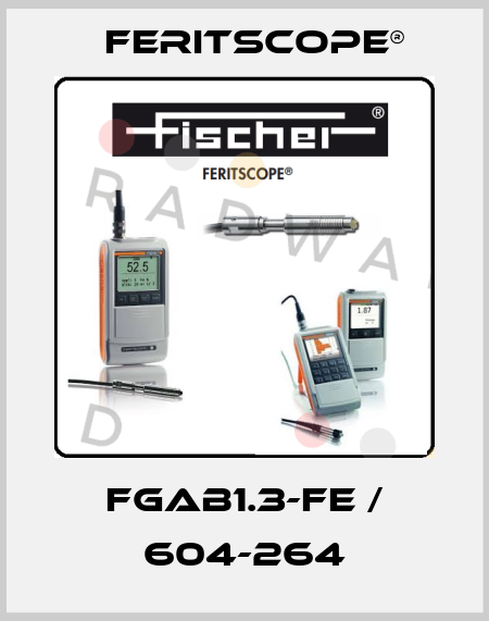 FGAB1.3-Fe / 604-264 Feritscope®