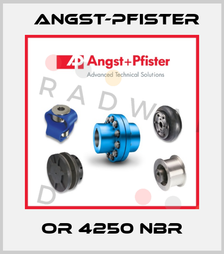 OR 4250 NBR Angst-Pfister