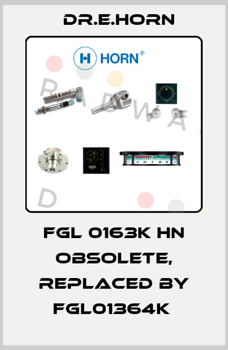 FGL 0163K HN Obsolete, replaced by FGL01364K  Dr.E.Horn