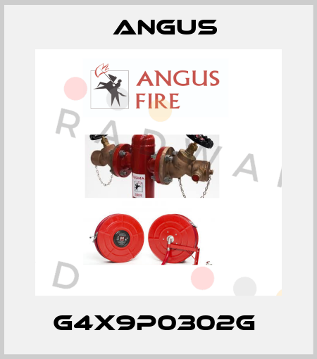 G4X9P0302G  Angus