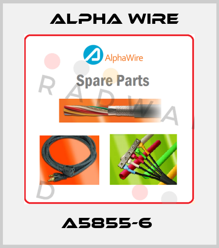 A5855-6  Alpha Wire