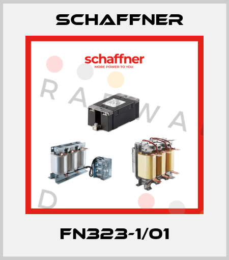 FN323-1/01 Schaffner