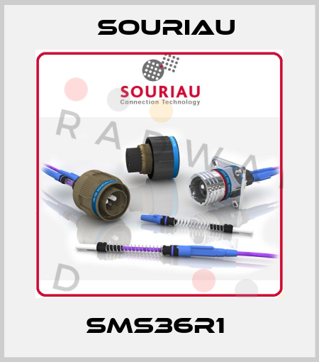 SMS36R1  Souriau