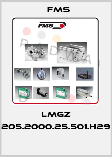 LMGZ 205.2000.25.501.H29  Fms