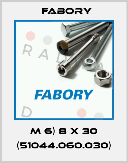 M 6) 8 X 30 (51044.060.030) Fabory