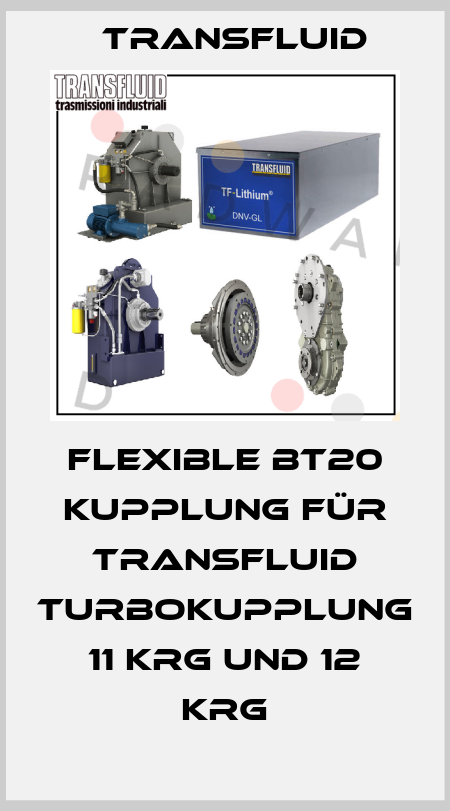 Flexible BT20 Kupplung für Transfluid Turbokupplung 11 KRG und 12 KRG Transfluid