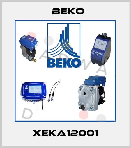 XEKA12001 Beko